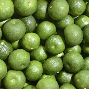 isd origins chinotti