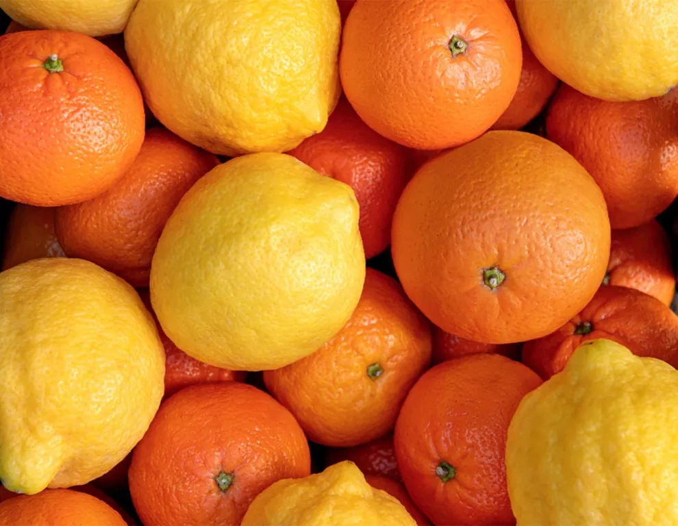 citrus-fruits-origins